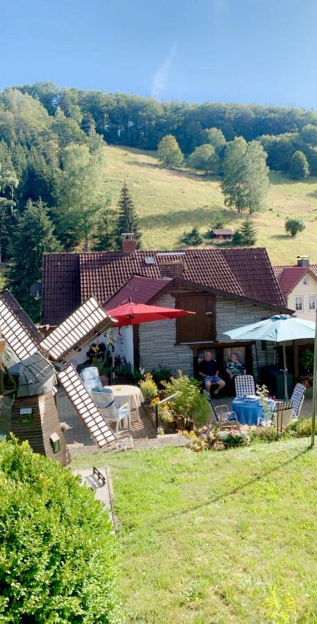 Haus Wiesenblick Apartment